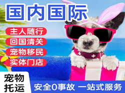 乌拉特中旗海流图机场物流国际宠物托运 【国